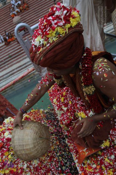 2015-July-31-_Photo_1169_IMG_4411a_CMP_WM