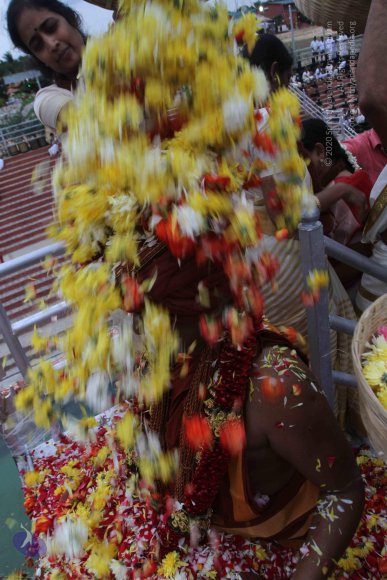 2015-July-31-_Photo_1171_IMG_4412a_CMP_WM