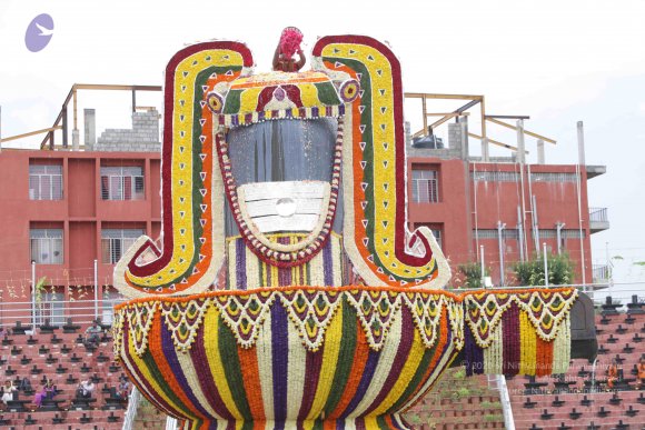 2015-July-31-_Photo_1172_IMG_4413_CMP_WM