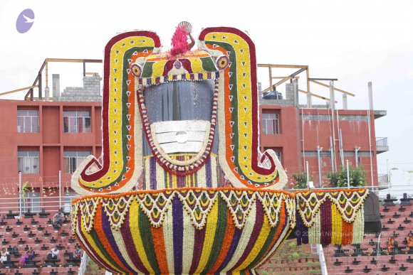 2015-July-31-_Photo_1174_IMG_4414a_CMP_WM