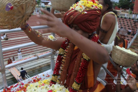 2015-July-31-_Photo_1181_IMG_4418_CMP_WM-1