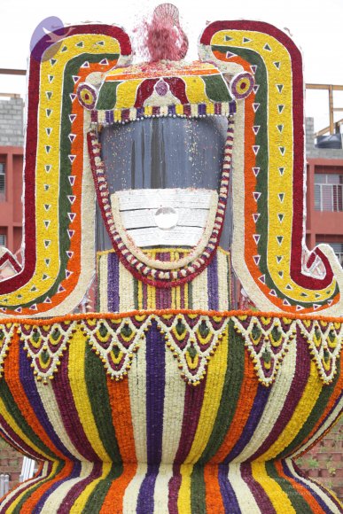 2015-July-31-_Photo_1183_IMG_4419_CMP_WM