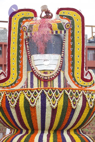 2015-July-31-_Photo_1185_IMG_4420a_CMP_WM