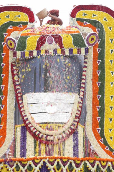 2015-July-31-_Photo_1187_IMG_4421a_CMP_WM