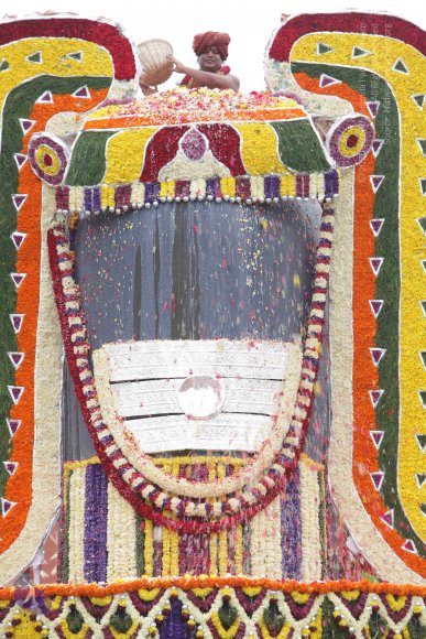 2015-July-31-_Photo_1190_IMG_4423_CMP_WM