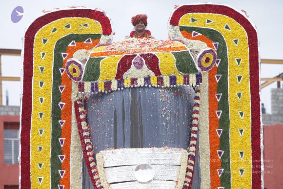 2015-July-31-_Photo_1196_IMG_4426a_CMP_WM