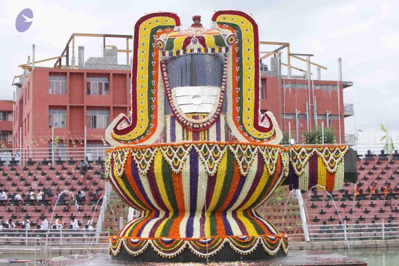 2015-July-31-_Photo_1199_IMG_4428_CMP_WM