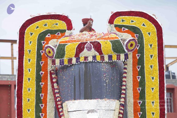 2015-July-31-_Photo_1203_IMG_4430_CMP_WM