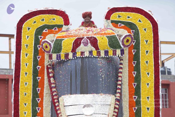 2015-July-31-_Photo_1207_IMG_4432_CMP_WM