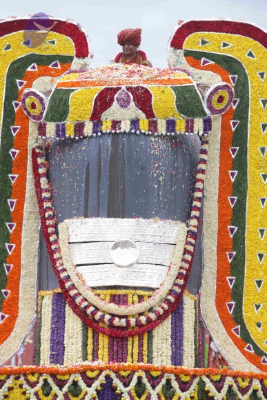 2015-July-31-_Photo_1211_IMG_4434_CMP_WM