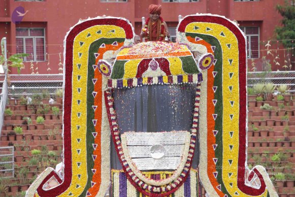 2015-July-31-_Photo_1221_IMG_4439_CMP_WM