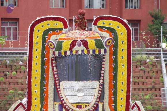 2015-July-31-_Photo_1226_IMG_4441a_CMP_WM