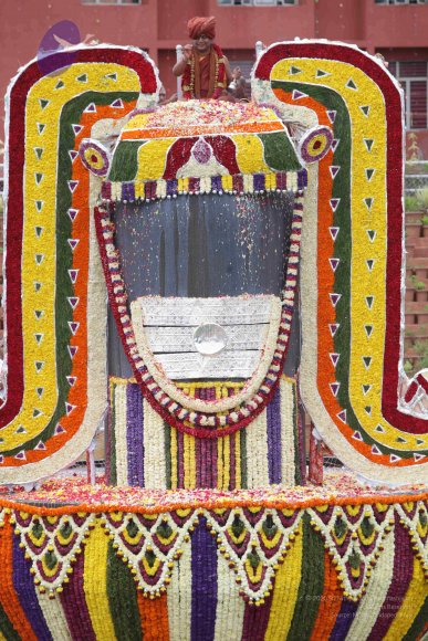 2015-July-31-_Photo_1229_IMG_4443_CMP_WM