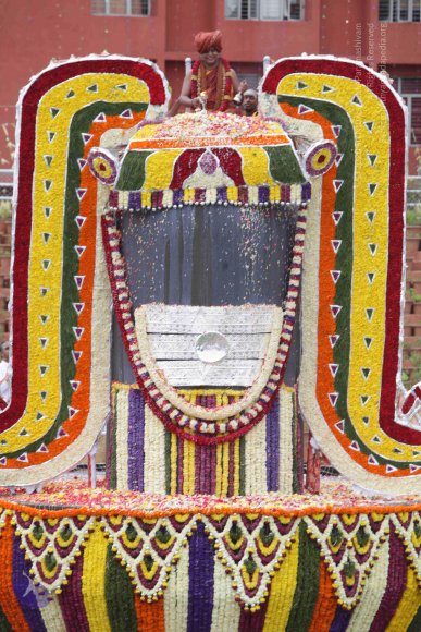 2015-July-31-_Photo_1232_IMG_4444a_CMP_WM