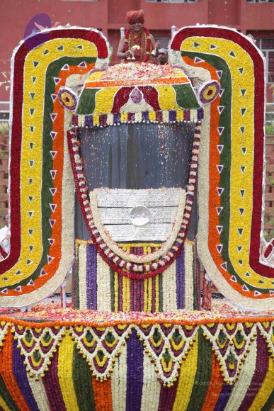 2015-July-31-_Photo_1235_IMG_4446_CMP_WM