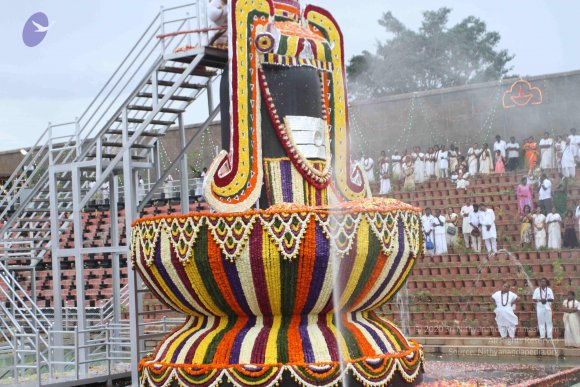 2015-July-31-_Photo_1239_IMG_4448_CMP_WM