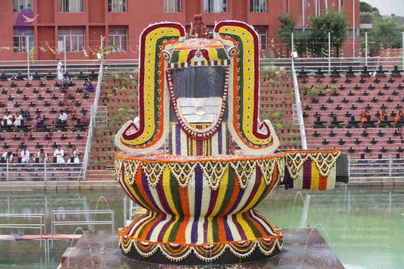 2015-July-31-_Photo_1243_IMG_4450_CMP_WM