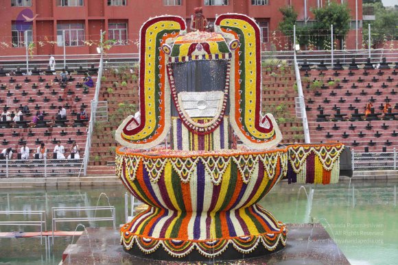 2015-July-31-_Photo_1246_IMG_4451a_CMP_WM