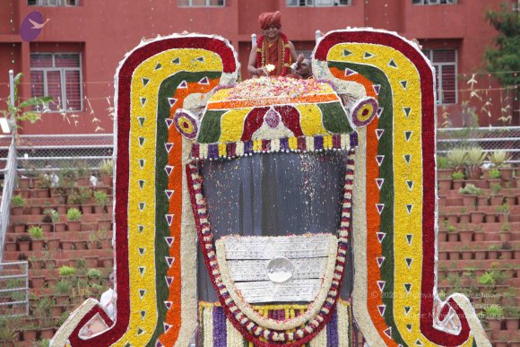 2015-July-31-_Photo_1248_IMG_4453_CMP_WM