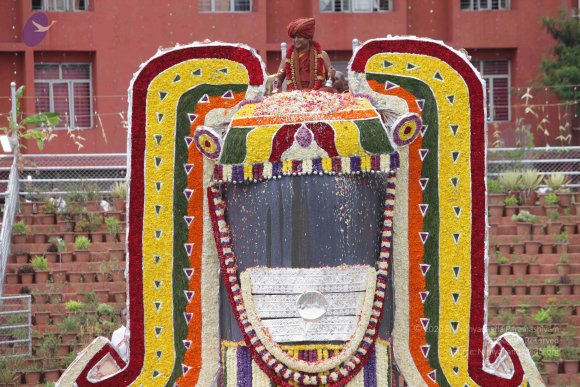 2015-July-31-_Photo_1249_IMG_4454_CMP_WM