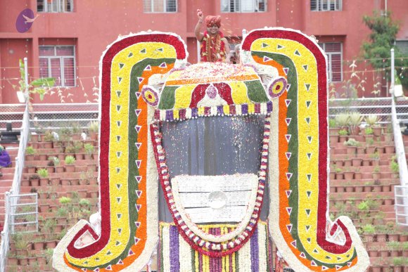 2015-July-31-_Photo_1252_IMG_4458_CMP_WM