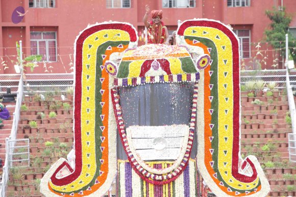 2015-July-31-_Photo_1253_IMG_4459_CMP_WM