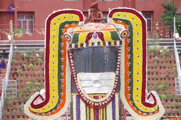 2015-July-31-_Photo_1254_IMG_4460_CMP_WM