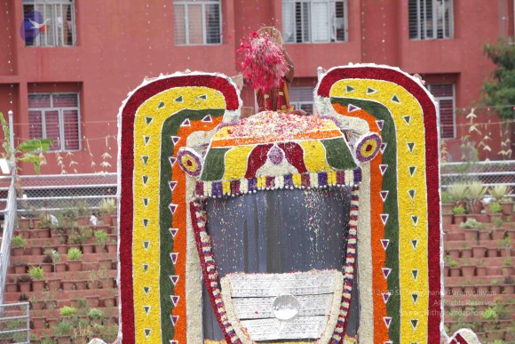 2015-July-31-_Photo_1255_IMG_4461_CMP_WM