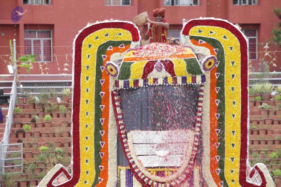 2015-July-31-_Photo_1256_IMG_4462_CMP_WM