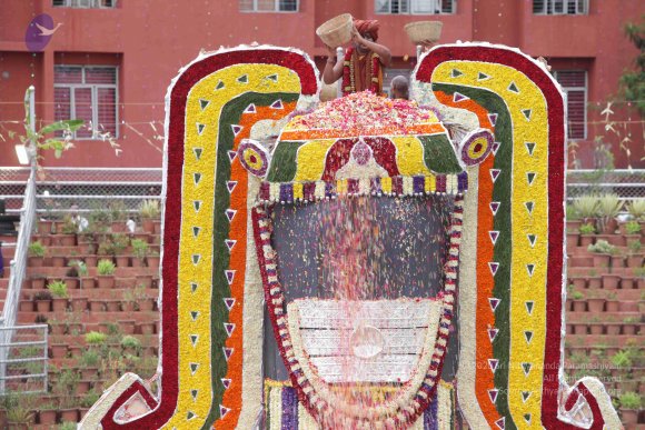 2015-July-31-_Photo_1264_IMG_4471_CMP_WM