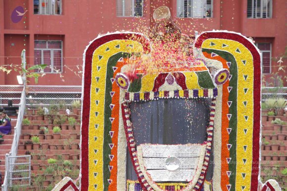 2015-July-31-_Photo_1266_IMG_4473_CMP_WM