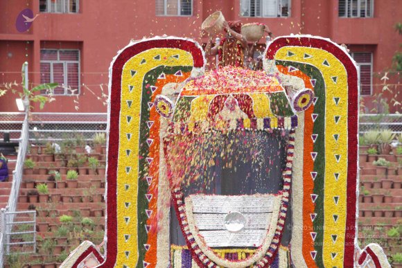 2015-July-31-_Photo_1267_IMG_4474_CMP_WM