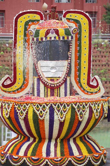 2015-July-31-_Photo_1275_IMG_4485_CMP_WM