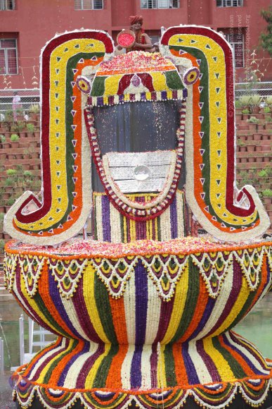 2015-July-31-_Photo_1277_IMG_4487_CMP_WM