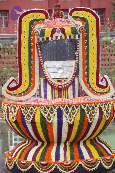 2015-July-31-_Photo_1279_IMG_4489_CMP_WM