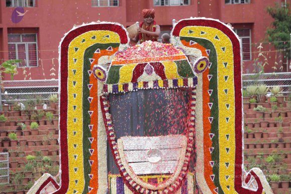 2015-July-31-_Photo_1281_IMG_4491_CMP_WM