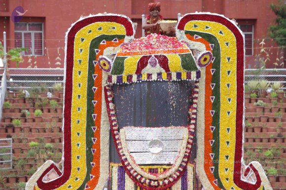 2015-July-31-_Photo_1282_IMG_4492_CMP_WM