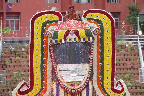 2015-July-31-_Photo_1283_IMG_4493_CMP_WM