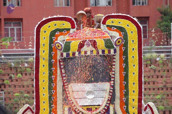 2015-July-31-_Photo_1286_IMG_4496_CMP_WM