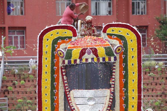 2015-July-31-_Photo_1293_IMG_4503_CMP_WM