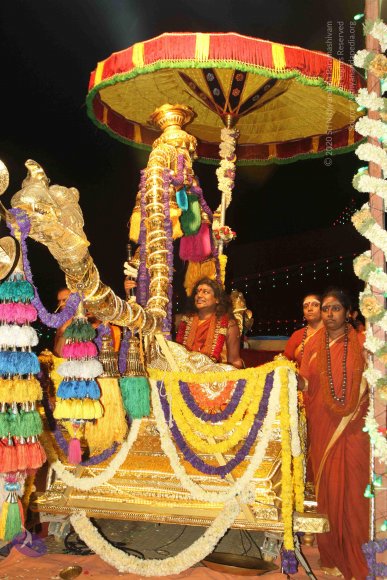 2015-July-31-_Photo_1111_IMG_4719_CMP_WM