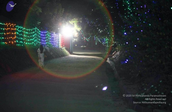 2015-July-31-_Photo_1009_IMG_2935_CMP_WM-1