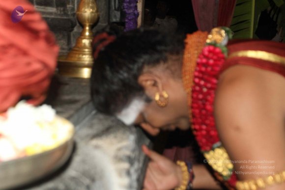 2015-July-31-_Photo_1016_IMG_2938_CMP_WM-2