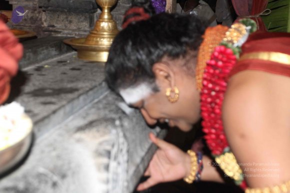 2015-July-31-_Photo_1018_IMG_2939_CMP_WM-2