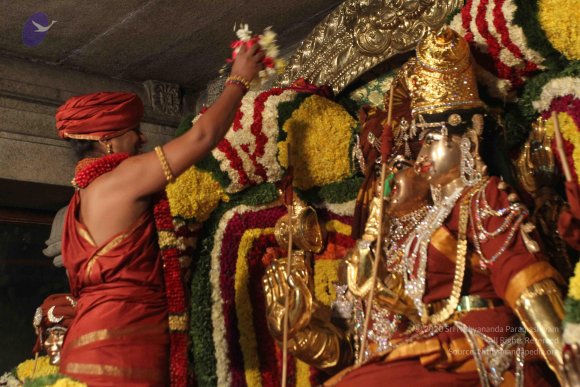 2015-July-31-_Photo_1026_IMG_2946_CMP_WM