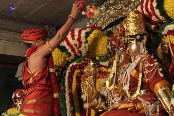 2015-July-31-_Photo_1028_IMG_2947_CMP_WM