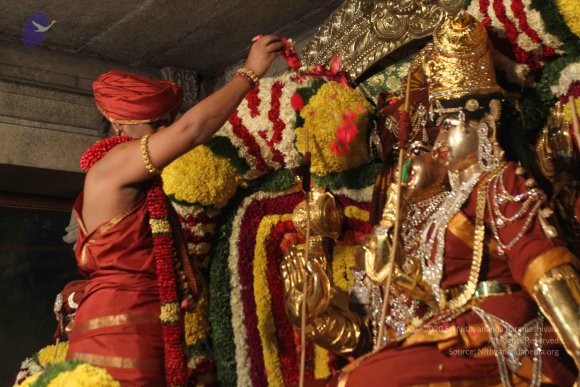 2015-July-31-_Photo_1030_IMG_2949_CMP_WM