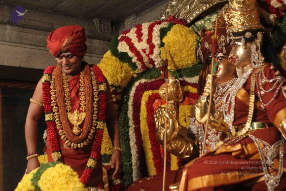 2015-July-31-_Photo_1033_IMG_2950a_CMP_WM