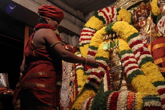 2015-July-31-_Photo_1034_IMG_2951_CMP_WM