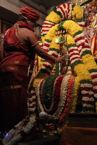 2015-July-31-_Photo_1037_IMG_2952a_CMP_WM